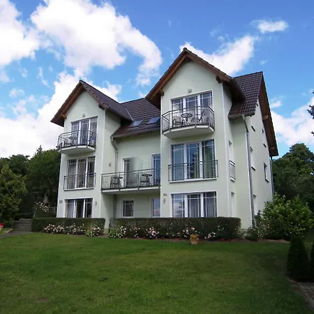 Komfortable Will _ *